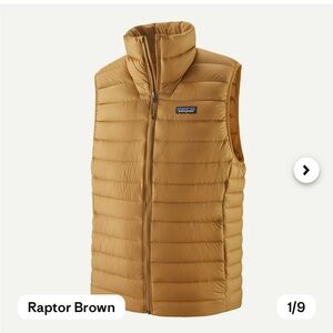 Patagonia Men's Down Sweater Vest Raptor Brown